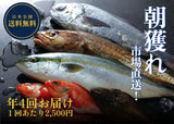 【送料無料】おながわ鮮魚コース