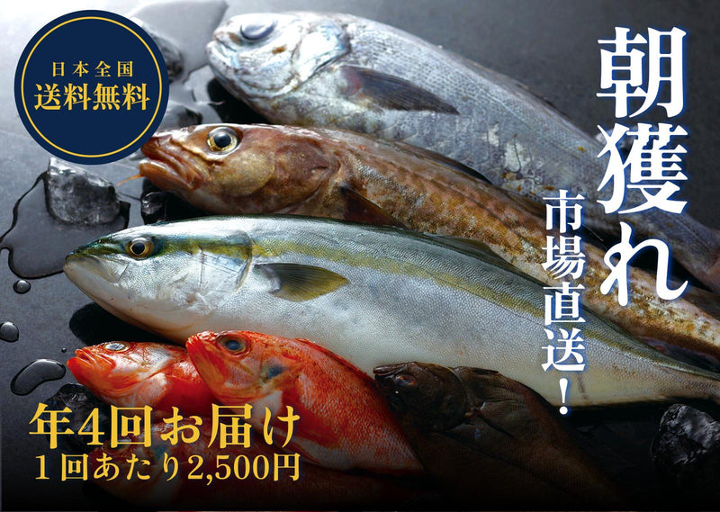 【送料無料】おながわ鮮魚コース
