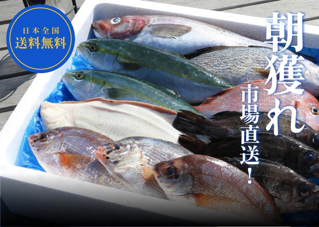 okasei_shop_catch_1024x.jpg?v=